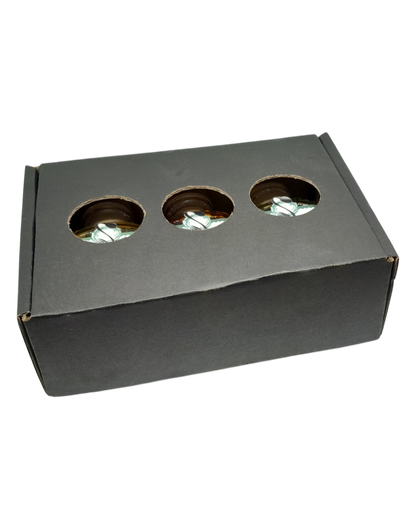Pack Gourmet, 3 Aceites de Oliva Saborizados